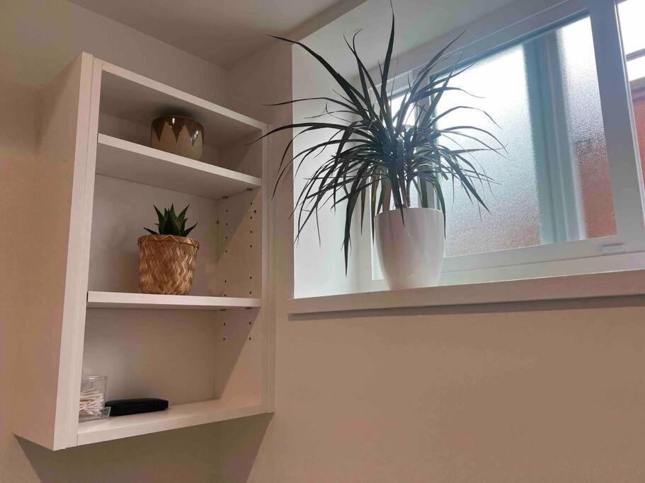 Newly Renovated Walkout Basement In Vancouver With Separate Entrance Eksteriør billede